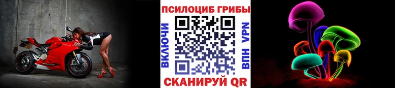 Псилоцибиновые грибы прущие грибы  закладка  Киреевск 